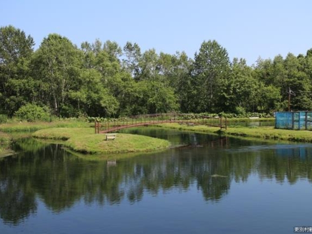 �t�@�~���[�p�[�N����ׂ̎ʐ^1