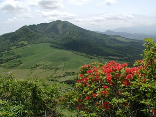 �c�㕽����_�c�㕽����