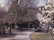 �P�����Ղ̎ʐ^1