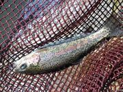 �t�@�~���[�p�[�N����ׂ̎ʐ^2