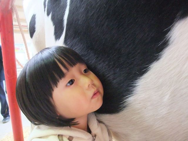 �Ԃ���񂪂����ɂ���ˁB�Ԃ������Y�܂Ȃ���΂����͏o�Ȃ��񂾁I_�n�ӑ̌��q��