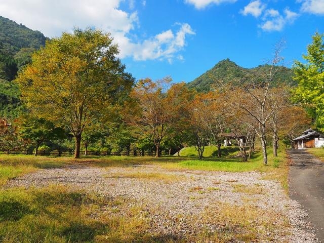 �����J�ӂ邳�Ƒ��I�[�g�L�����v��