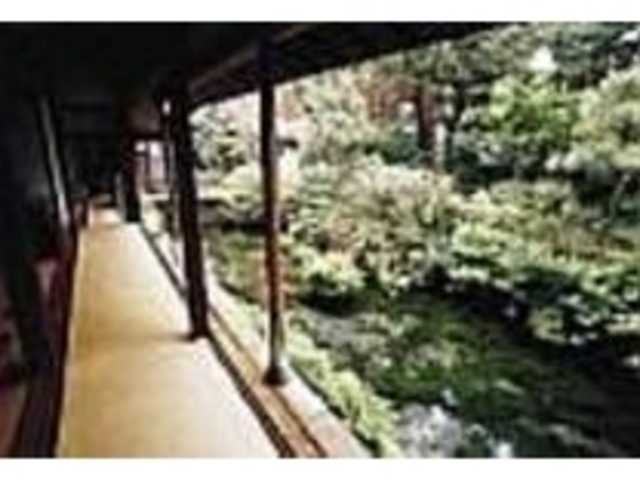 N̒r̒ŉj𒭂߂悤_܂΂琅~