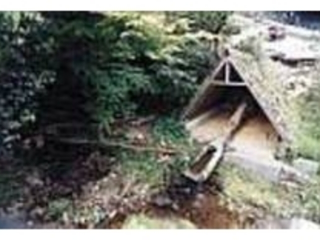 �Q�����ɐ̂Ȃ���̓��P���c���Ă���_���Ό���