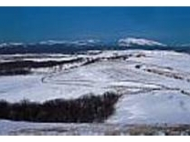 �����ɐ��ʊx��]�߂�A�~�̑��a��_���a��