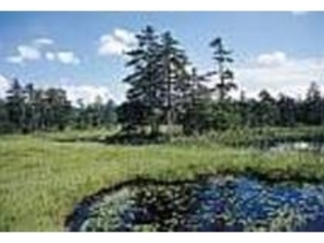 �k�C���̖L���Ȏ��R��傢�Ɋ�������_��������