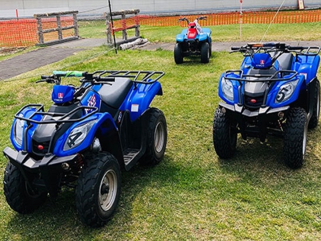 �y�t�`�H�A�N�e�B�r�e�B�z�L���~�n���ɂ͗l�X�ȃA�N�e�B�r�e�B���������܂��i�ʐ^�́u�o�M�[�J�[�v�j�i�ʓr�L���j_���u�}�b�N�X���]�[�g���� �O���[���s�A���