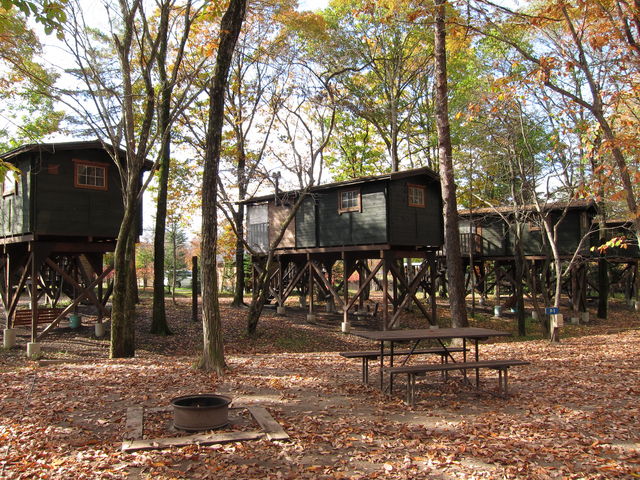 �k�y���X�E�B�[�g�O���X