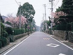 cƉ~ʂ̎ʐ^1