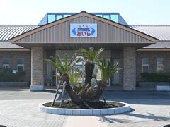 ���V�����h������̎ʐ^1