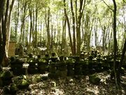 �������Ó���Q�̎ʐ^1