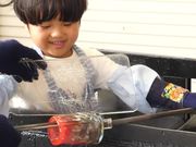 �X�̃K���X�ق̎ʐ^4