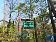 ACNI[g][gp[NErbOh̎ʐ^3