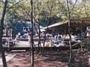 �t�H���e�[�k�̐X���΃L�����v��̎ʐ^1