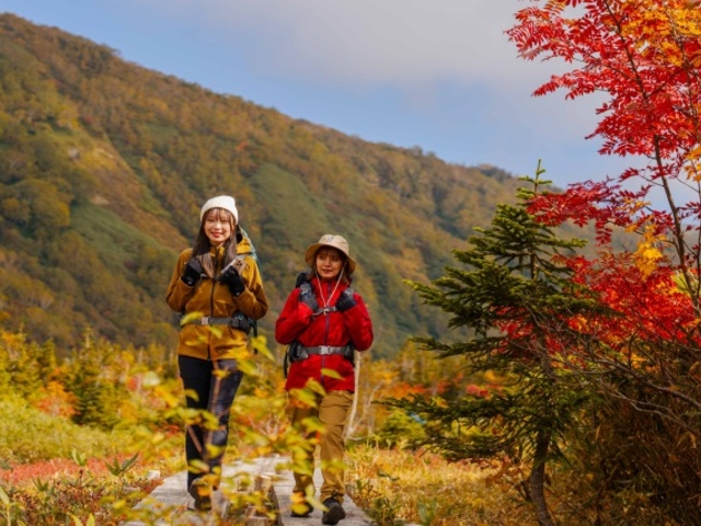 �������}�E���e�����]�[�g