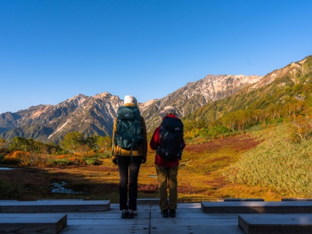 �������}�E���e�����]�[�g