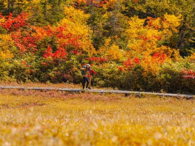 �������}�E���e�����]�[�g