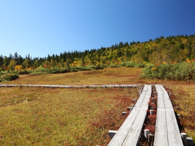 �������}�E���e�����]�[�g