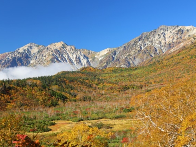 �������}�E���e�����]�[�g