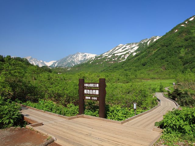 �������}�E���e�����]�[�g