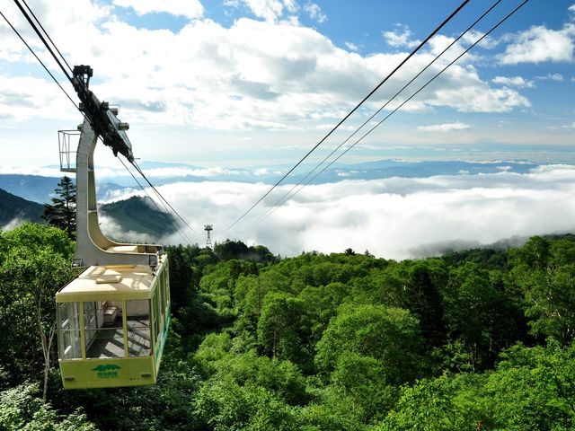 �������}�E���e�����]�[�g