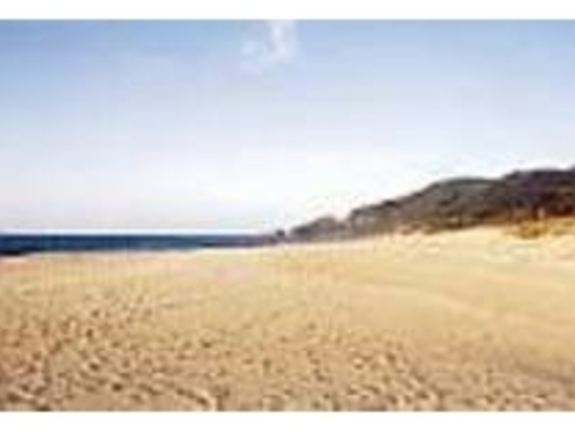 uE~K㗤{Iv̊Ŕڈ_icEȂl