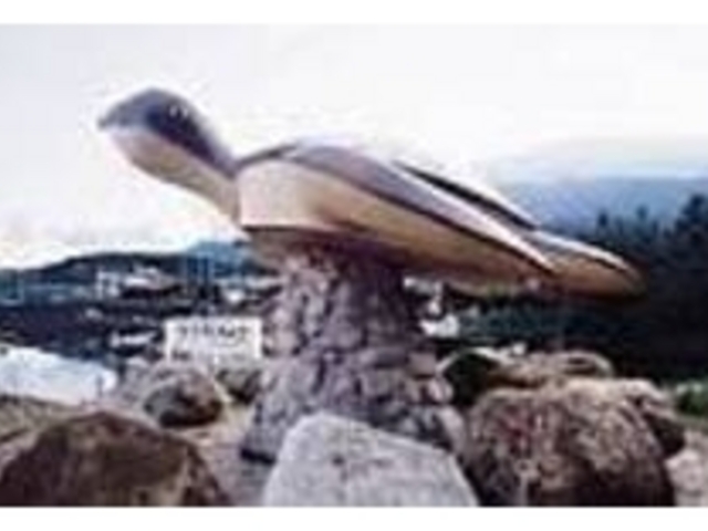 Ȃl̏AicOl̖ڈ͂̋T_icEȂl