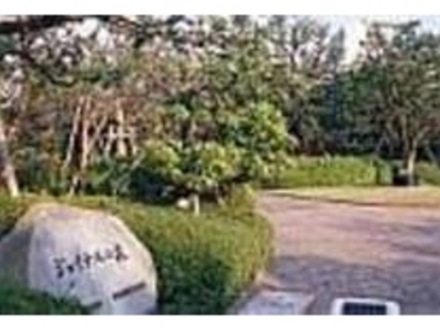 ����̌����Ƃ͎v���Ȃ��قǗΖL��_�W���C�i�X�̐X��������