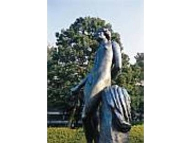 �u�����Y���Ȃǂ̃I�u�W�F���قǗǂ��z�u_�W���C�i�X�̐X��������