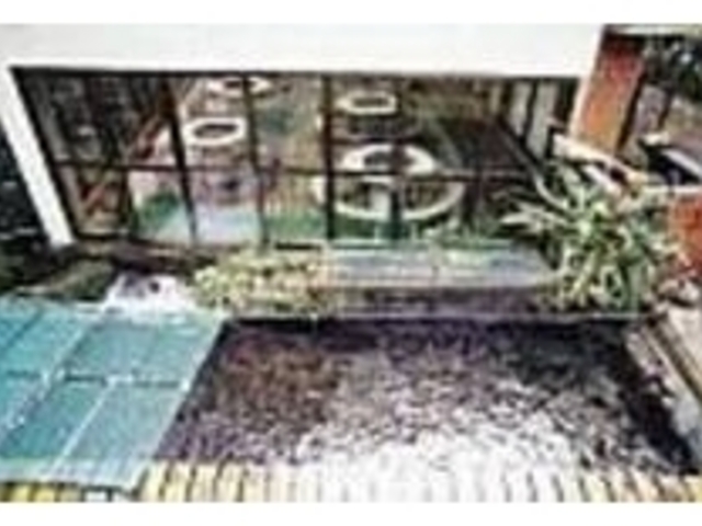 �����̏�ɂ͂����߂񗬂��̓X������A�˂�_���D������