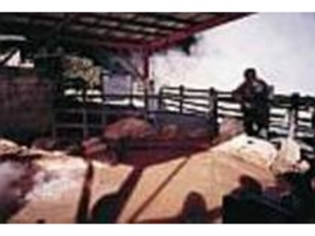 �����𐁂��������r�[�������B��i�݂����I_���܂ǒn��