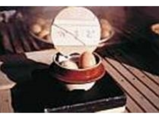 ���g�ɉ��A���g�ɂ͏ݖ���������ƍX�ɔ���_���܂ǒn��