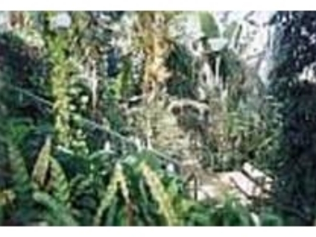 �����ł͒������M�ѐA�����Ϗ܂ł���_�ۓ������M�ѐA��������