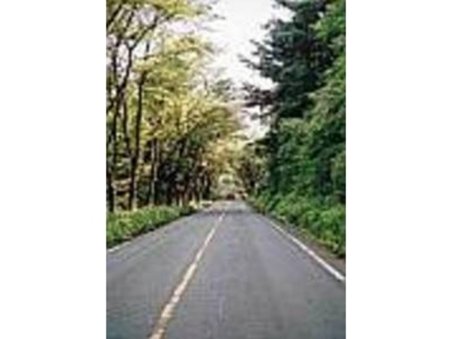 �Â���W�]��߂��̗V��������͐�i��_�����i�΃p�[�N�E�F�C