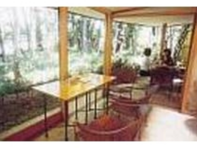 ���̌����𒭂߂Ȃ���H�͍g�t���y���߂�_�e�B�[���[���j�R��