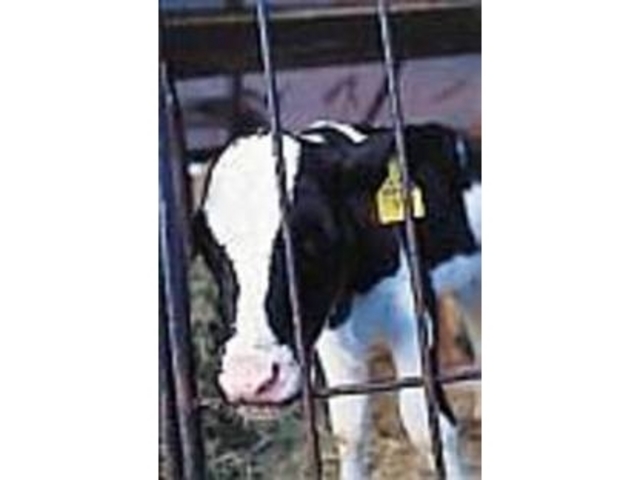 i肽Ă̋gWF[g_WF[gVbv@z