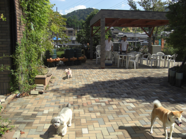 �h�b�O�����ɂ̓p�[�S�����������̉��ɂ��Ȃ����p�ӂ��Ă��܂��B�J�t�F���X�g�����̃��j���[�����������������܂��B_�召��