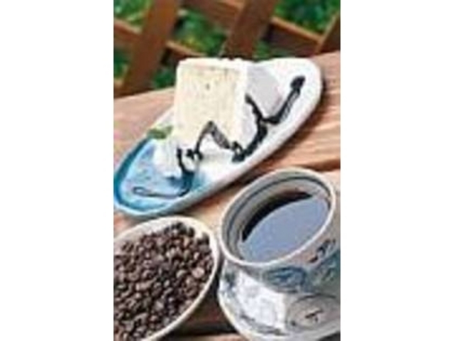 Q̍IꂽẴR[q[_`[YP[LH[EJtFuԁv