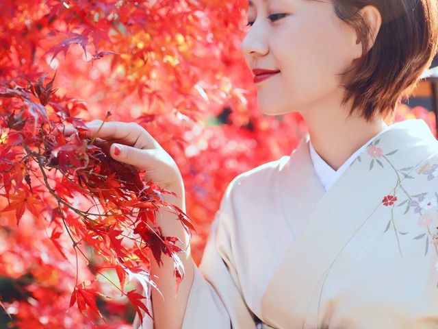 ���s�����̃����^����