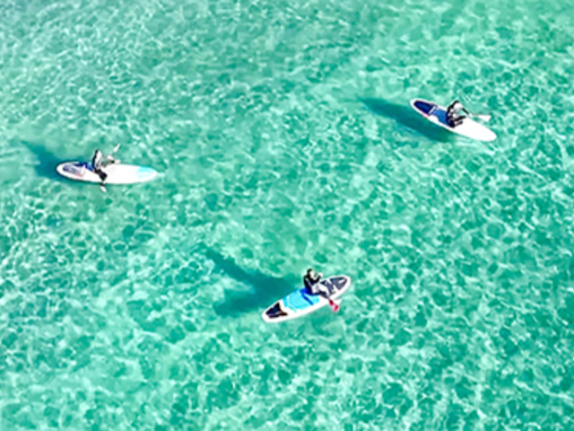 �r�[�`�t�@��