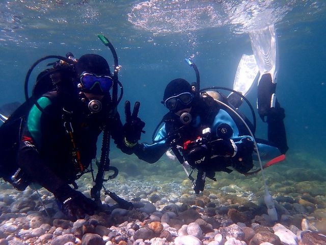 �X�N�[�o�T�|�[�g�T�[�r�XTRYS