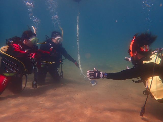 �X�N�[�o�T�|�[�g�T�[�r�XTRYS