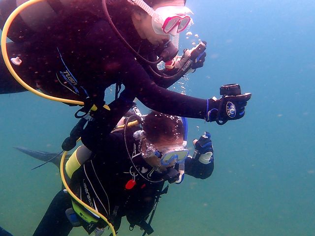 �X�N�[�o�T�|�[�g�T�[�r�XTRYS