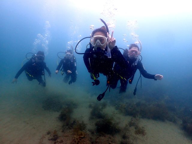 �X�N�[�o�T�|�[�g�T�[�r�XTRYS