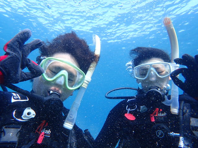 �X�N�[�o�T�|�[�g�T�[�r�XTRYS