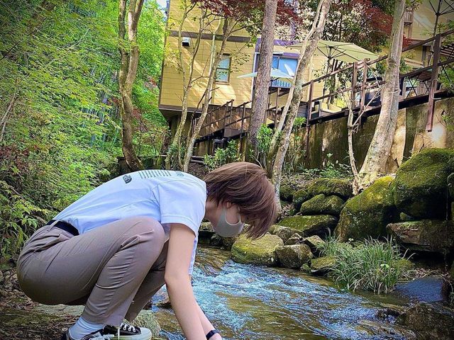 �~�n���𗬂���Ő�V�т���������_�����