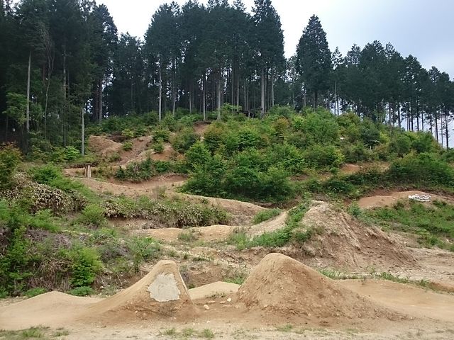 ���[�L�[�Y�p�[�N�̃R�[�X_LTB