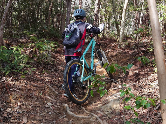 �������K_LTB