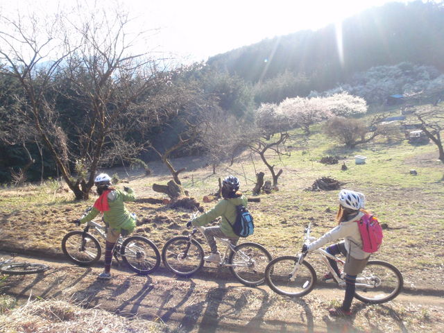 �T�C�N�����O_�A�E�g�h�A�K�C�h�c�A�[EARTH�y���x�[�X