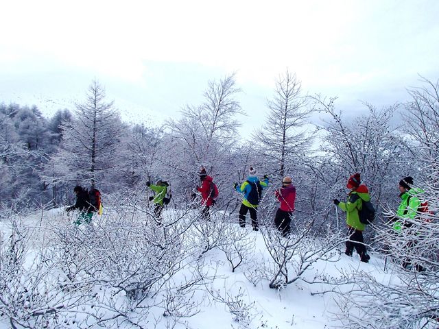 �X�m�[�n�C�L���O_�A�E�g�h�A�K�C�h�c�A�[EARTH�y���x�[�X